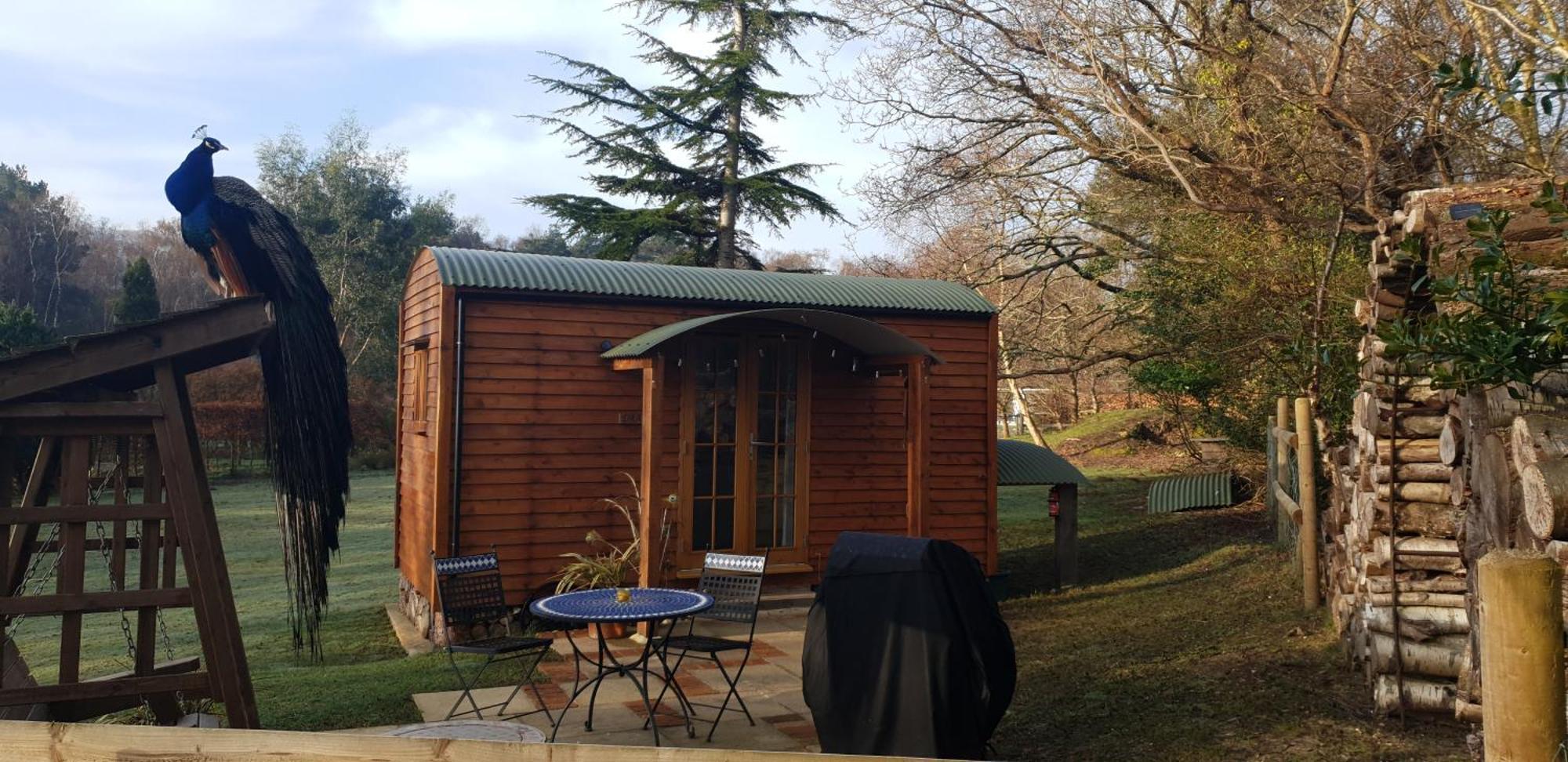Villa Sika Hut Wareham Exterior foto